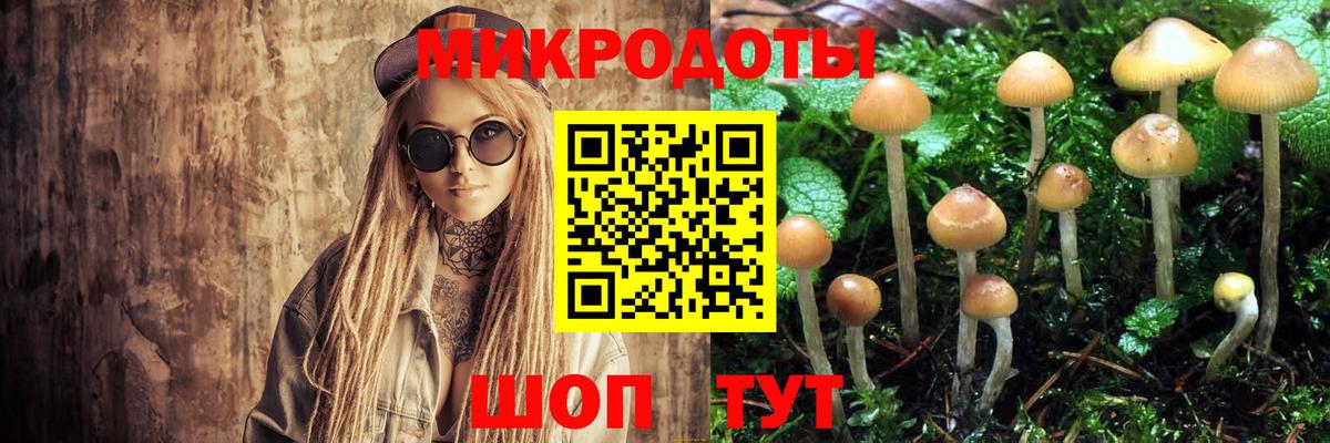 Рузаевка  Псилоцибиновые грибы Cubensis  Вход с VPN 